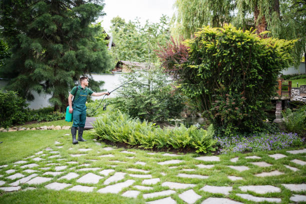 Best Local Pest Control Services  in Centreville, AL