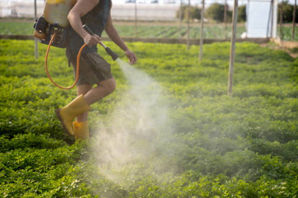 Best Commercial Pest Control Services  in Centreville, AL