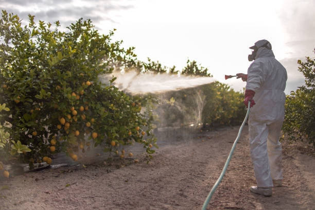 Best Mosquito Control Services  in Centreville, AL