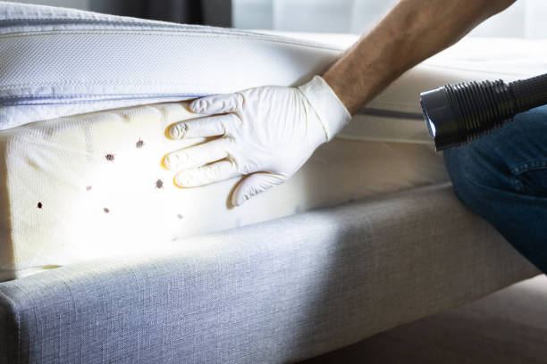 Best Flea Control Services  in Centreville, AL